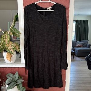 Eliane Rose Black Long Sleeve Swing Dress
